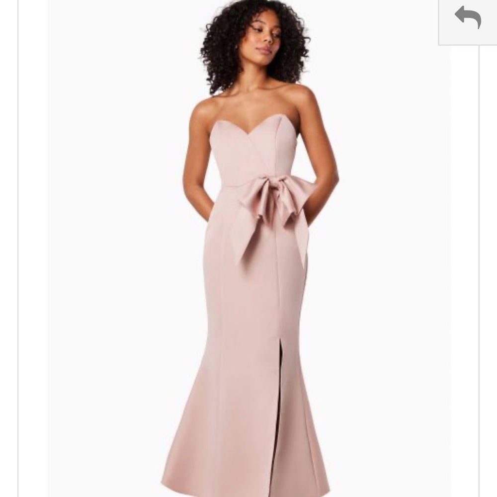 Elliatt Lanator gown blush pink